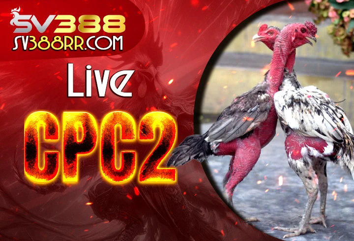 Live đá gà trực tiếp CPC2