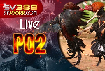 Live đá gà trực tiếp PO2